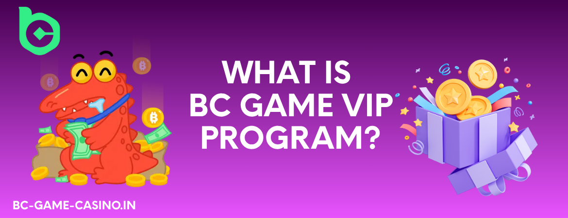 What is BC Game VIP Program?