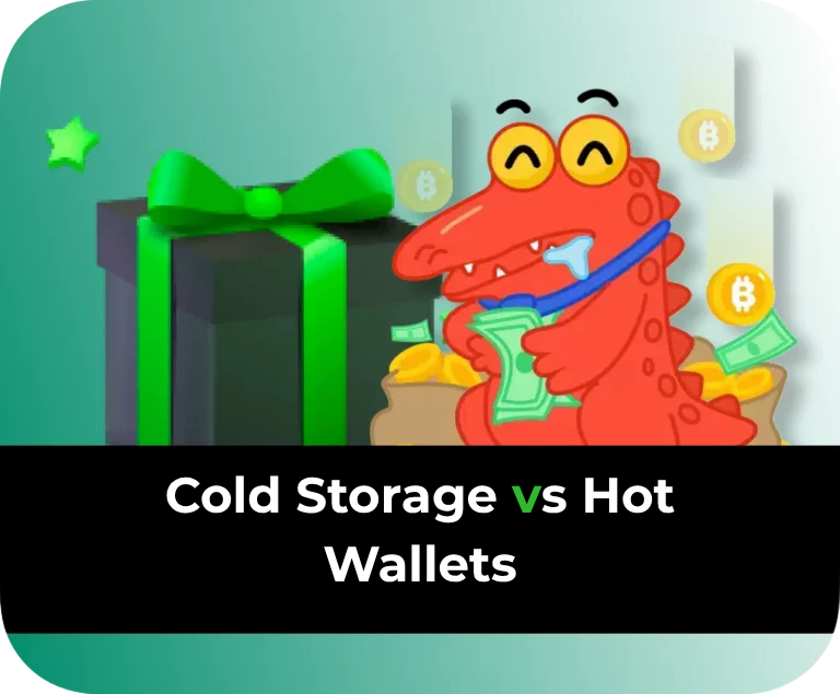 Cold Storage vs. Hot Wallets
