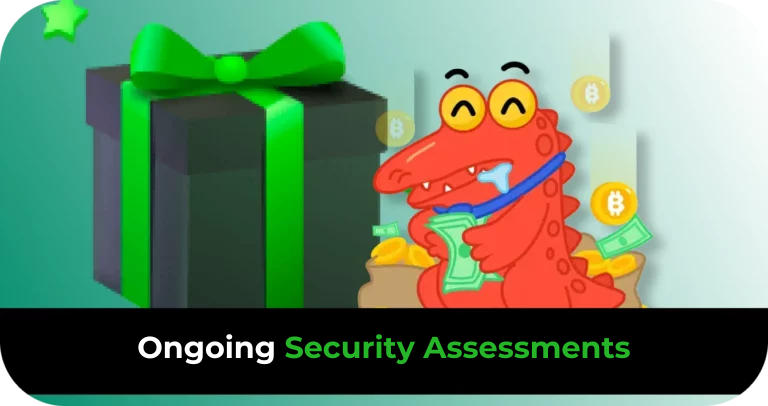 Regular Security Audits
