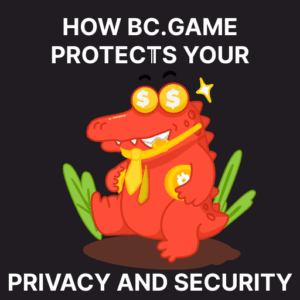 privacy-and-security-bcgame